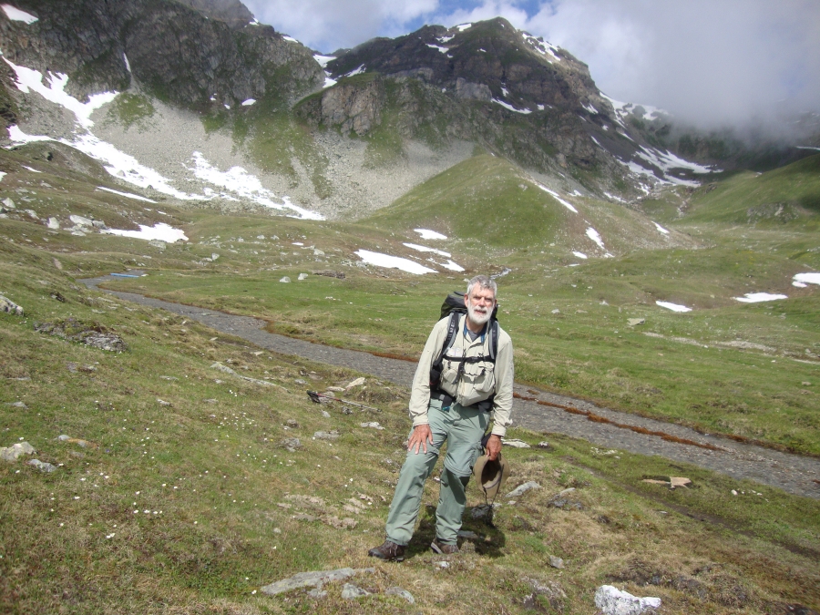This pleasant little Alpine meadow was nice to encounter, about 11:00 AM.