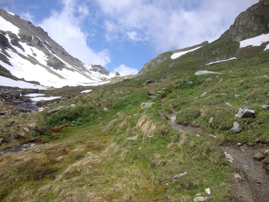 I think that's Forcletta Pass up there! It's now about 11:30, so I've been on the trail 4 hours today.