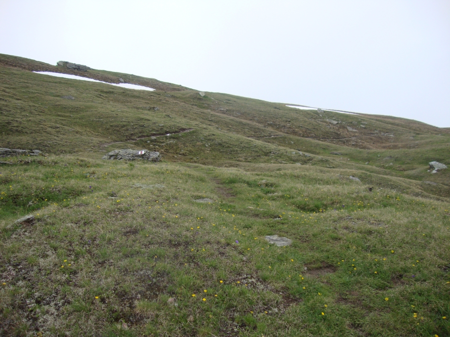 By 1:30 PM the well-marked path was winding through this pleasant meadow. I'm approaching Taschalet and Alpe Nova, on the way to Zinal.