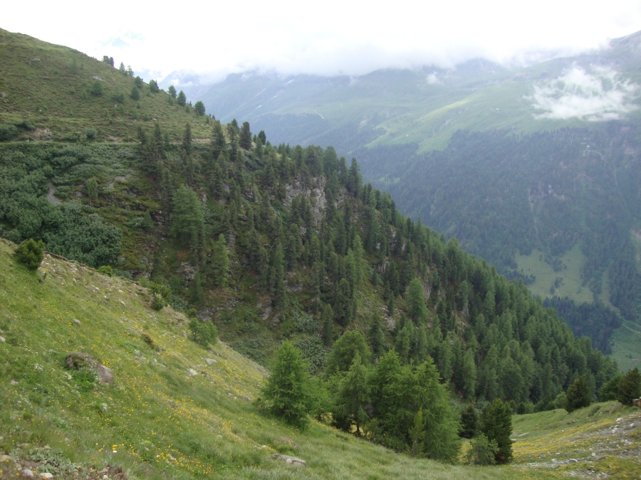 Shortly after 3:00 PM, the trail (visible here at the top of the fir trees) continues to be high on the ridge. Around the corner, though, finally, is Zinal. 