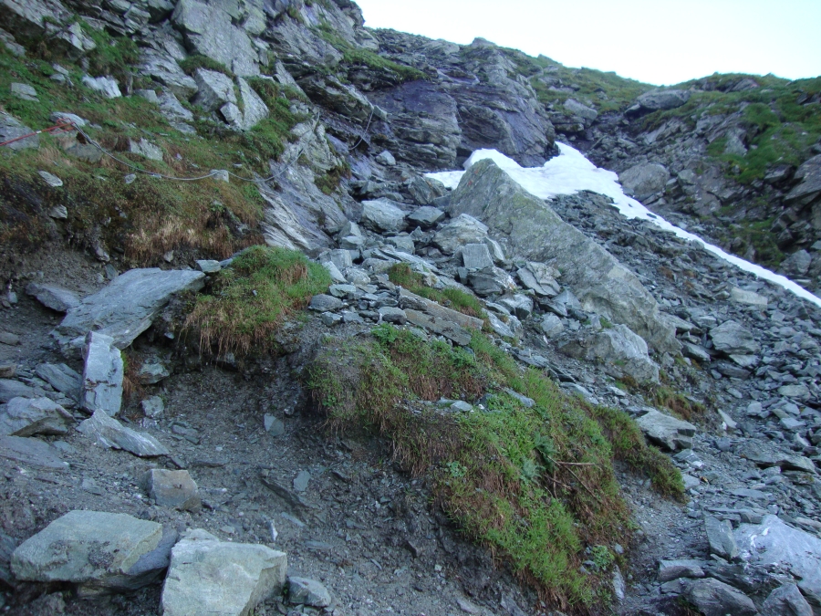 Catering to its serious mountaineers and trekkers, the Cabane's breakfast began at 6:00 AM. I was out at 7:00, Tuesday July 10. 45 minutes later, this photo looks back up the rope-assisted section of trail I'd just descended. 