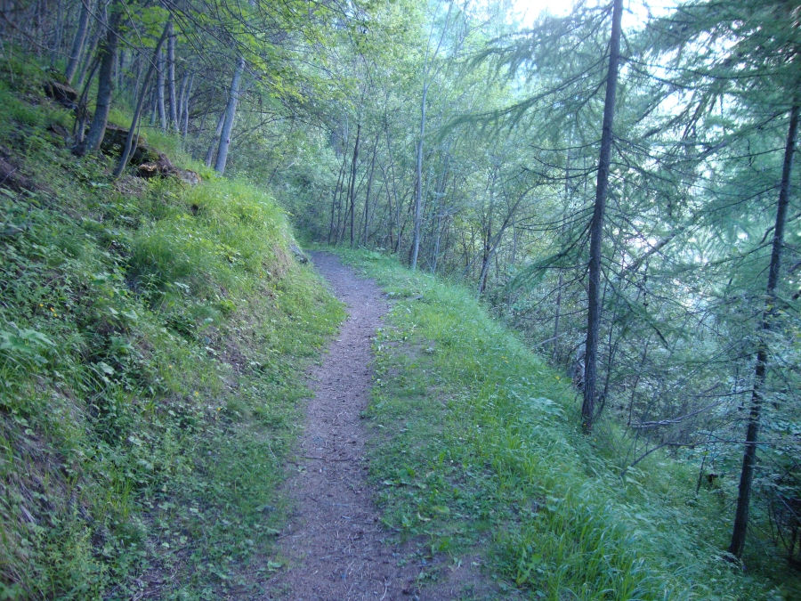 July 12, Thursday, was my 14th day out and my last real day of hiking. With a short day ahead, I'd left L'Ecureiul at 9:00 AM. Half an hour later I was enjoying this pleasant path down to Les Hauderes.