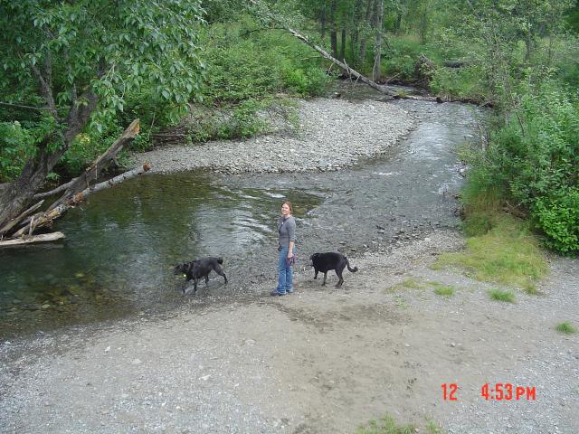 dsc00640.jpg.jpg