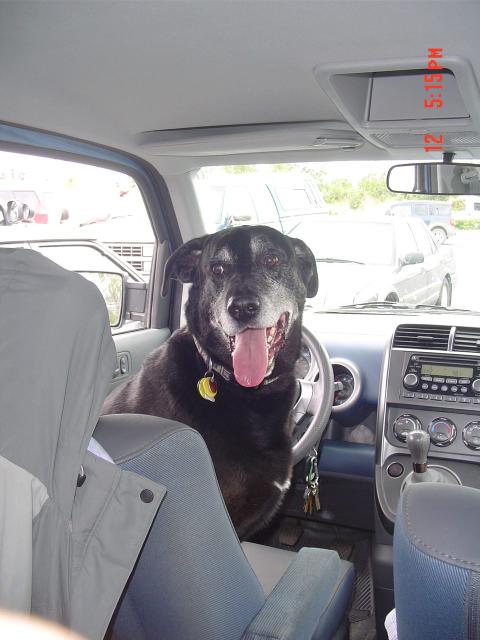 dsc00642.jpg.jpg