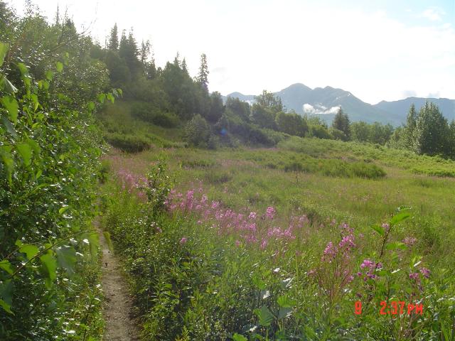 dsc00575.jpg.jpg