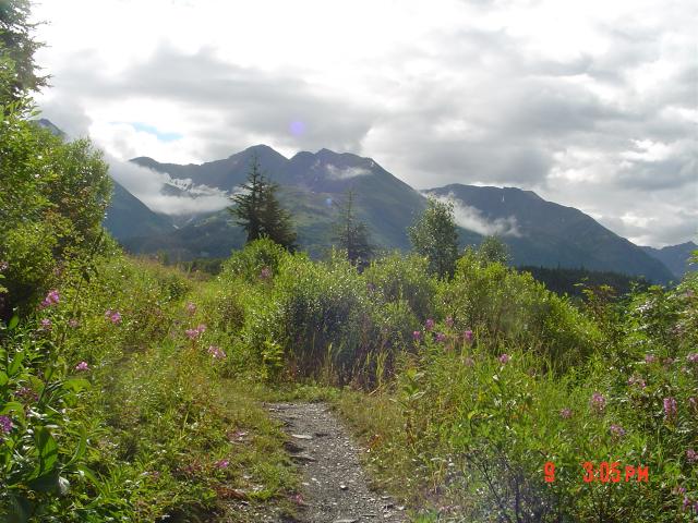 dsc00576.jpg.jpg