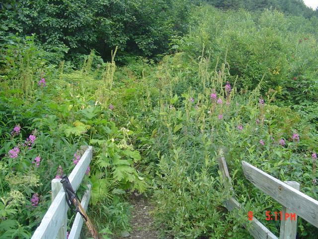dsc00583.jpg.jpg
