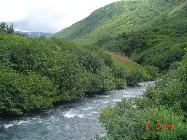 dsc00584.jpg.jpg
