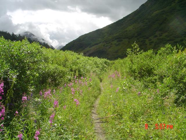 dsc00588.jpg.jpg