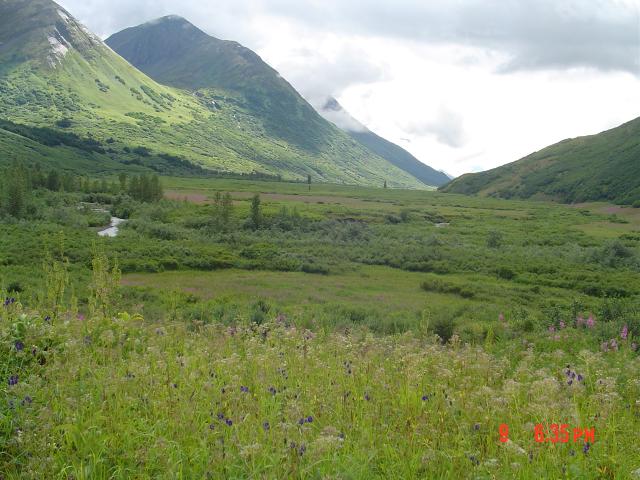 dsc00590.jpg.jpg