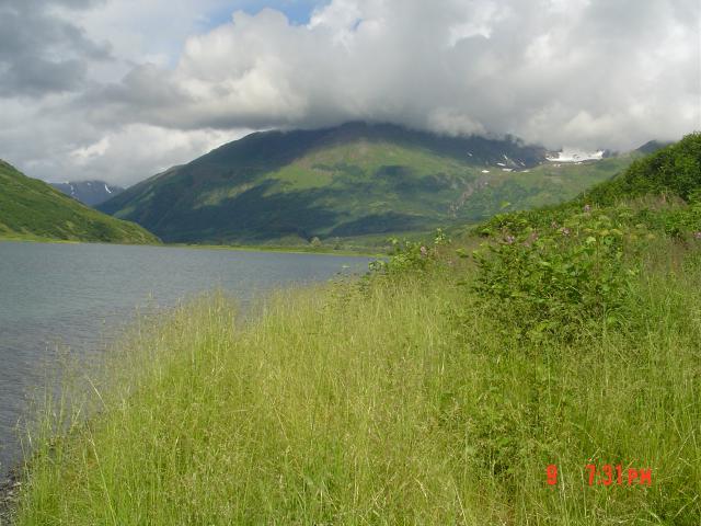dsc00591.jpg.jpg
