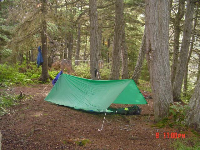 dsc00595.jpg.jpg