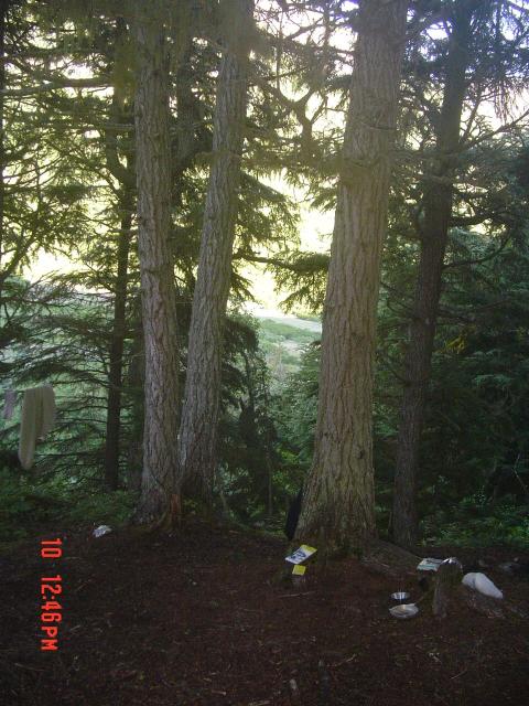 dsc00596.jpg.jpg