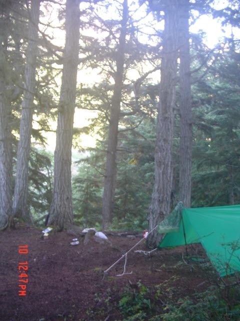 dsc00597.jpg.jpg