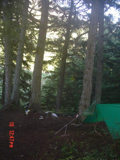 dsc00598.jpg.jpg