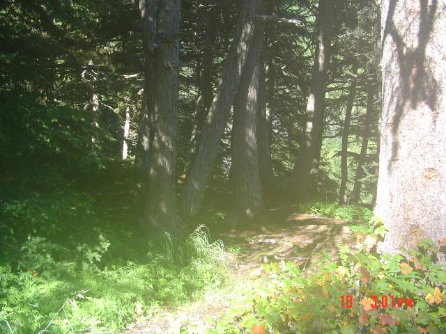 dsc00602.jpg.jpg