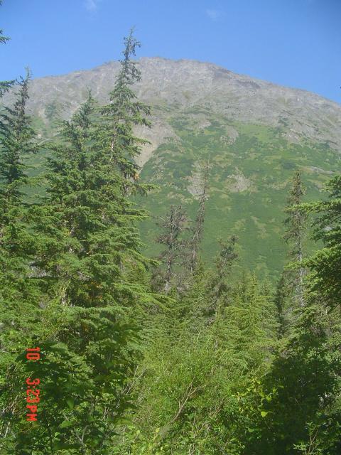 dsc00603.jpg.jpg