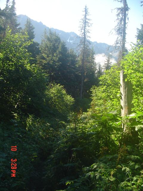 dsc00604.jpg.jpg