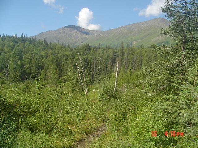 dsc00606.jpg.jpg
