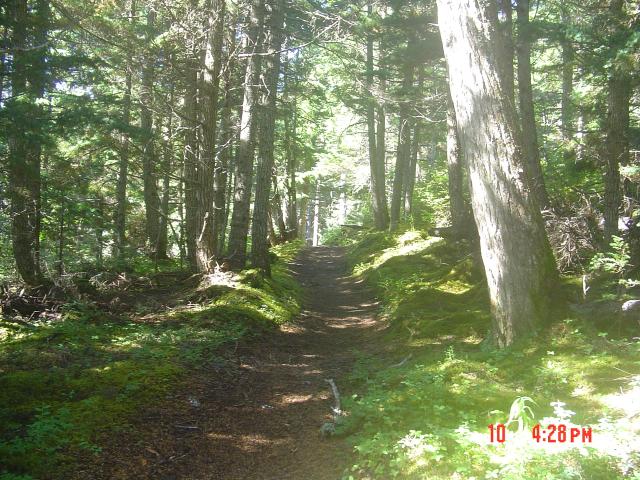 dsc00607.jpg.jpg