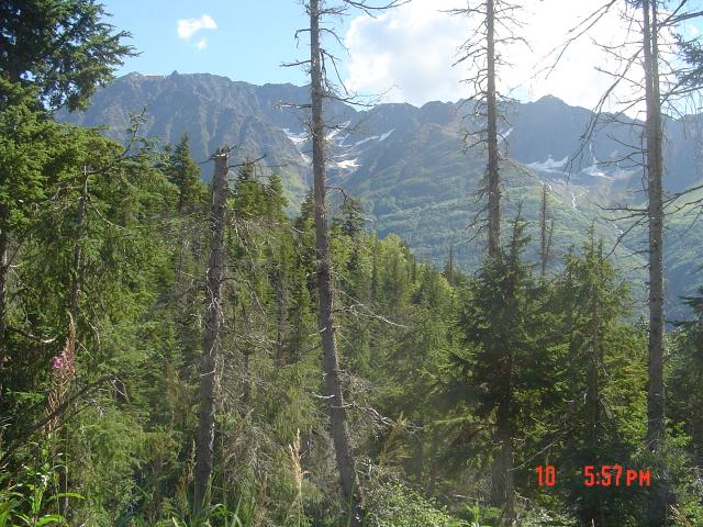 dsc00610.jpg.jpg