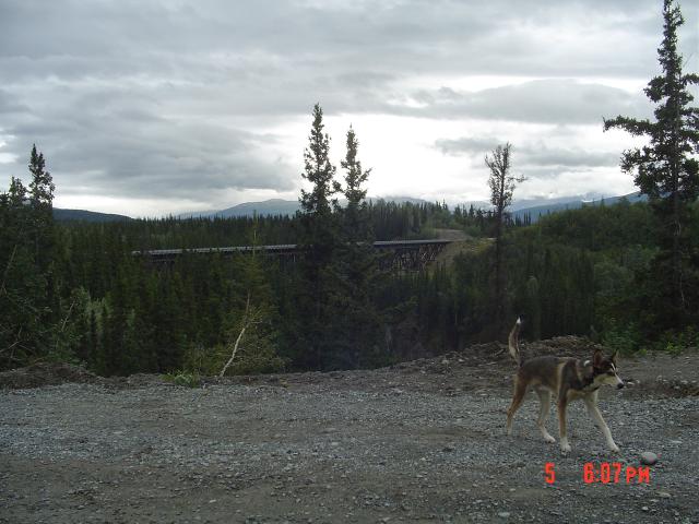 dsc00515.jpg.jpg