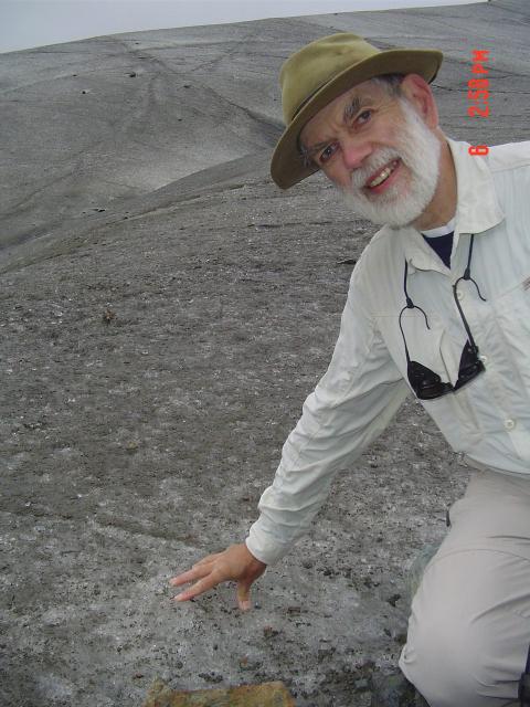dsc00534.jpg.jpg
