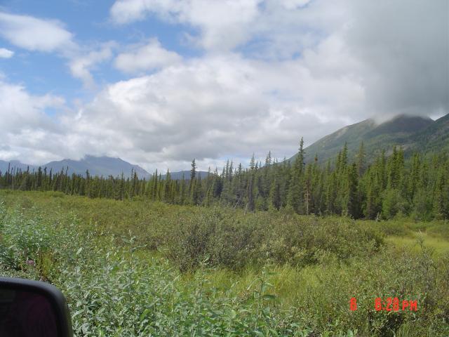 dsc00541.jpg.jpg
