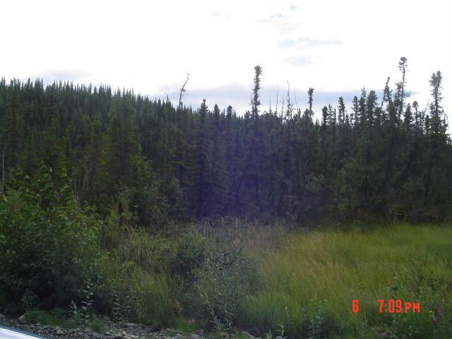 dsc00545.jpg.jpg