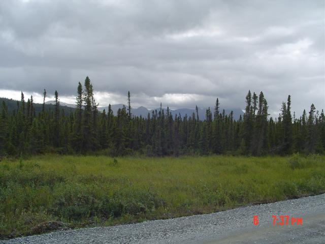 dsc00551.jpg.jpg