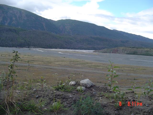 dsc00552.jpg.jpg