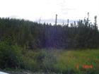 thumbs/dsc00545.jpg.jpg